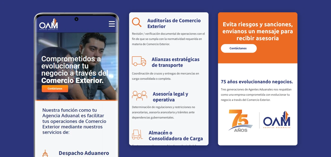 oam webpage development desarrollo de sitio web thumbnail