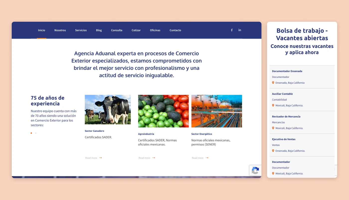 oam webpage development desarrollo de sitio web thumbnail